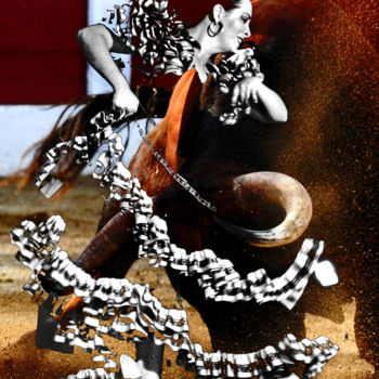 Photography titled "Série "Flamenco y T…" by Michel Volle, Original Artwork