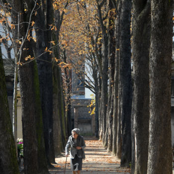 「Retour de mémoire」というタイトルの写真撮影 Michel Volleによって, オリジナルのアートワーク