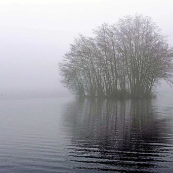 「SAISON EN BOURGOGNE…」というタイトルの写真撮影 Michel Volleによって, オリジナルのアートワーク, デジタル 段ボールにマウント