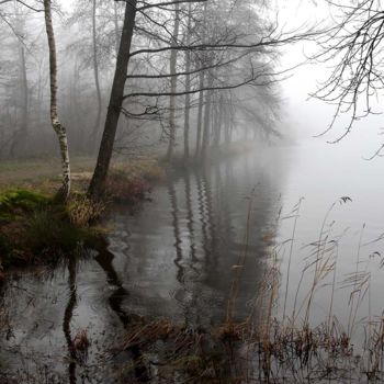 Photography titled "HIVER BRUMEUX EN BO…" by Michel Volle, Original Artwork, Digital Photography Mounted on Wood Panel