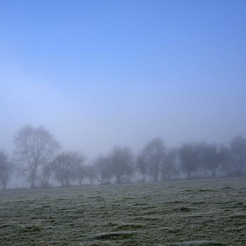 Fotografie mit dem Titel "HIVER BRUMEUX EN BO…" von Michel Volle, Original-Kunstwerk, Digitale Fotografie Auf Karton montiert