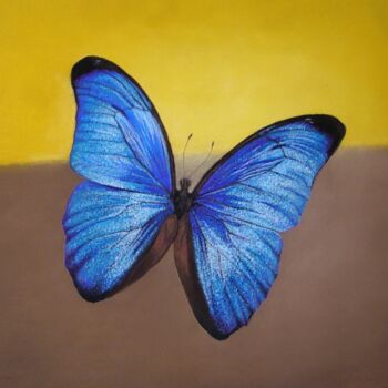 Painting titled "Papillon bleu" by Michel Béquet, Original Artwork, Pastel