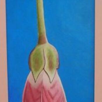 Painting titled "Agapetes serpens" by Michel Béquet, Original Artwork, Oil