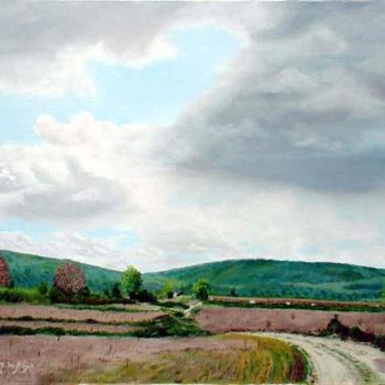 Peinture intitulée "ondée sur la plaine" par Michel De Ruyck, Œuvre d'art originale, Huile