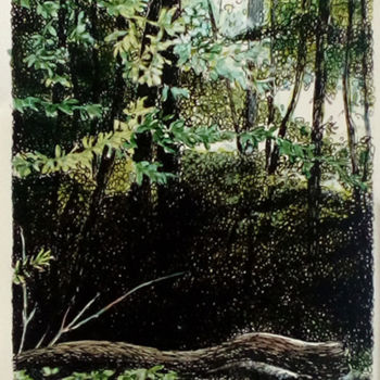 Peinture intitulée "Sans titre 1" par Michèle Caranove, Œuvre d'art originale, Encre