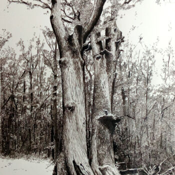 Dessin intitulée "Les jumeaux II" par Michèle Caranove, Œuvre d'art originale, Encre