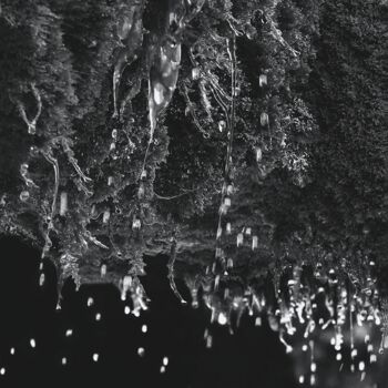 "Lichenas Aqua" başlıklı Baskıresim Michèle Dumas (Michèle Frédérique) tarafından, Orijinal sanat, Gravür
