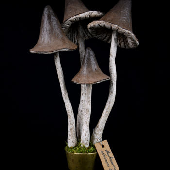 Sculpture intitulée "Mushrooms spécimens…" par Michèle Giraudo, Œuvre d'art originale, Papier mâché