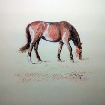 Drawing titled "Cheval" by Michel Estival, Original Artwork, Pastel