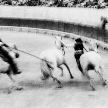 Photographie intitulée "Les Arenes "Le chev…" par Michel Guillet, Œuvre d'art originale, Photographie argentique