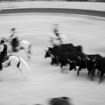 Φωτογραφία με τίτλο "Les arenes "Bandido"" από Michel Guillet, Αυθεντικά έργα τέχνης, Ψηφιακή φωτογραφία