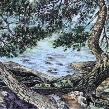 Dessin intitulée "Majorque ,les pins…" par Michel Kulisa, Œuvre d'art originale, Encre