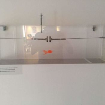 Ремесла под названием "équilibre" - Michel Pittet, Подлинное произведение искусства