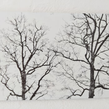 「Paroles d'arbres」というタイトルの写真撮影 Michel Vernaによって, オリジナルのアートワーク, デジタル
