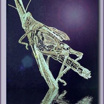 Digital Arts titled "Grasshopper by night" by Mies De Graaf, Original Artwork, 2D Digital Work