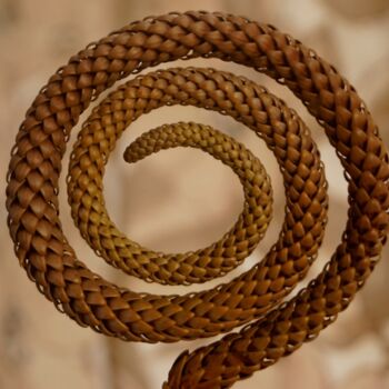 Photographie intitulée "Natural spiral" par Miguel Marques, Œuvre d'art originale, Photographie numérique