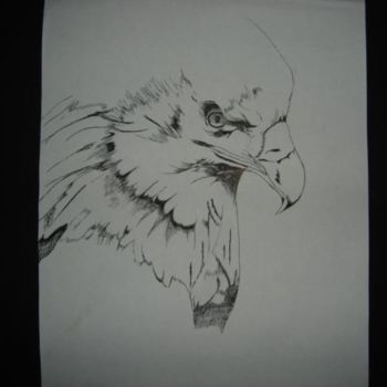 Рисунок под названием "Bald Eagle" - Mikel Nation, Подлинное произведение искусства