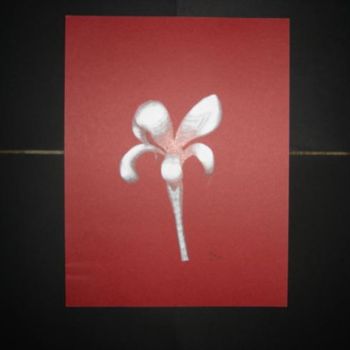 Dessin intitulée "Flower 004" par Mikel Nation, Œuvre d'art originale