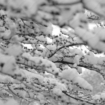 Fotografie mit dem Titel "Winter Tranquillity…" von Mike Valeriani, Original-Kunstwerk