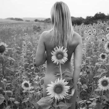 sunflowers 4