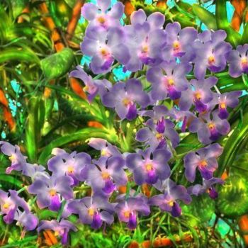 Fotografía titulada "light lavender spra…" por Miguel, Obra de arte original
