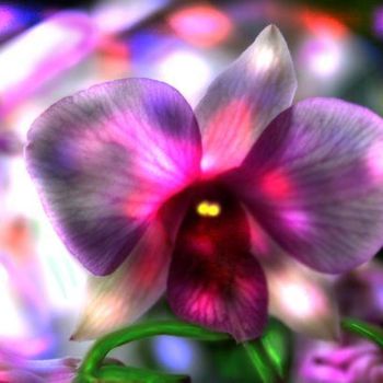 Photography titled "Gossamer Orchids fr…" by Miguel, Original Artwork