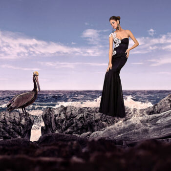 Fotografia zatytułowany „Pelican Love Limite…” autorstwa Milan Karagic, Oryginalna praca, Fotomontaż