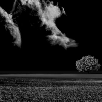 Fotografie getiteld "Tree Of Life Limite…" door Milan Karagic, Origineel Kunstwerk, Digitale fotografie