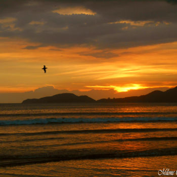 Photographie intitulée "Praia do Embaré 1" par Milone Oliveira, Œuvre d'art originale