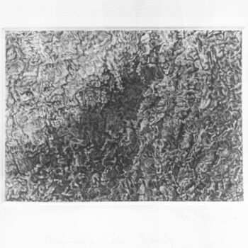 Impressões e gravuras intitulada "lumière de sable" por Mine Palayer, Obras de arte originais, Gravação