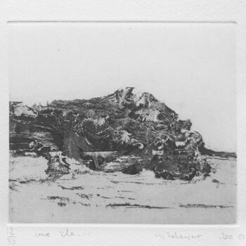 Printmaking titled "Une île" by Mine Palayer, Original Artwork, Etching