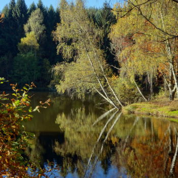 Photographie intitulée "Étang du Moulin Cas…" par Miodrag Aubertin, Œuvre d'art originale