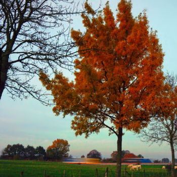 Photographie intitulée "couleurs d'automne…" par Miodrag Aubertin, Œuvre d'art originale