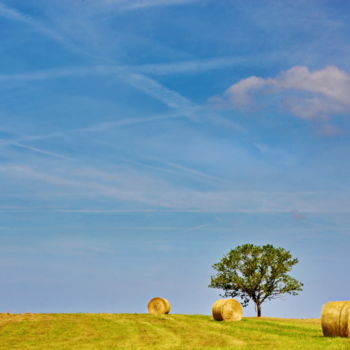 Photographie intitulée "Nature 80" par Miodrag Aubertin, Œuvre d'art originale