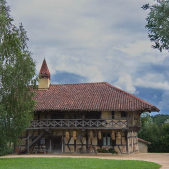 Photography titled "Ferme de la Forêt (…" by Miodrag Aubertin, Original Artwork