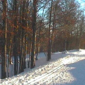 Fotografia intitolato "Neige_07" da Miodrag Aubertin, Opera d'arte originale