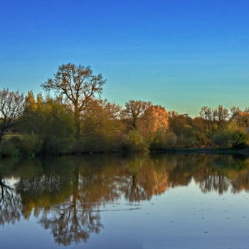 Fotografia intitulada "nature 64" por Miodrag Aubertin, Obras de arte originais