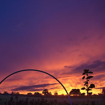 Fotografia intitulada "coucher de soleil 38" por Miodrag Aubertin, Obras de arte originais