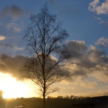 Photographie intitulée "Le soleil est de re…" par Miodrag Aubertin, Œuvre d'art originale