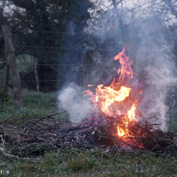 Photographie intitulée "Tout feu tout flamm…" par Miodrag Aubertin, Œuvre d'art originale