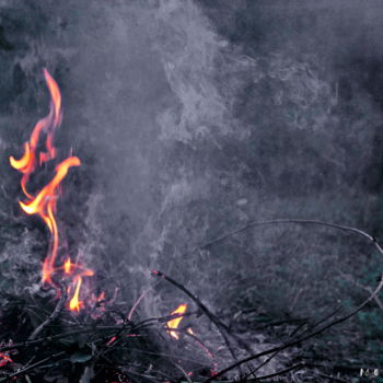 Photographie intitulée "Tout feu tout flamm…" par Miodrag Aubertin, Œuvre d'art originale