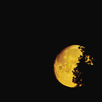 Photography titled "La lune 19" by Miodrag Aubertin, Original Artwork