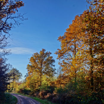 Fotografia intitolato "couleurs d'automne…" da Miodrag Aubertin, Opera d'arte originale