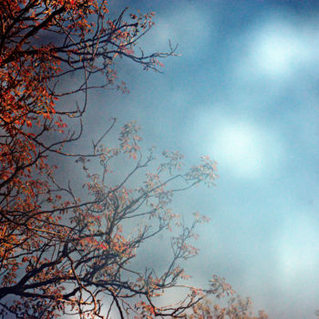 Fotografia intitulada "couleurs d'automne…" por Miodrag Aubertin, Obras de arte originais