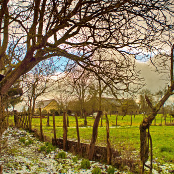 Photography titled "Giboulées de mars" by Miodrag Aubertin, Original Artwork