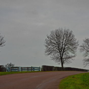 Photographie intitulée "Arbre 60" par Miodrag Aubertin, Œuvre d'art originale