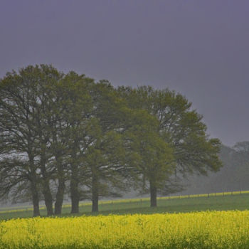 Photographie intitulée "Arbre 64" par Miodrag Aubertin, Œuvre d'art originale