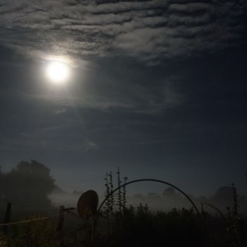 "Clair de lune 26" başlıklı Fotoğraf Miodrag Aubertin tarafından, Orijinal sanat