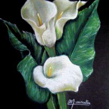 Drawing titled "arum" by Mirentxu, Original Artwork