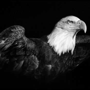 Drawing titled "AMERICAN PRIDE" by Miro Gradinšćak, Original Artwork, Graphite Mounted on Cardboard